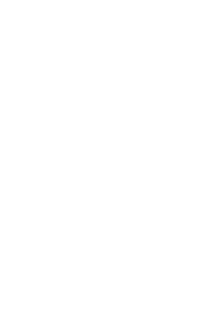 Lotey Fasteners